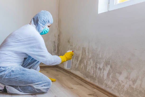 Licensed Mold Remediation service in Richardsville, VA - 24 Hour Mold Removal