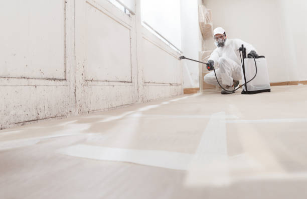 24/7 Emergency Mold Remediation experts in Richardsville, VA