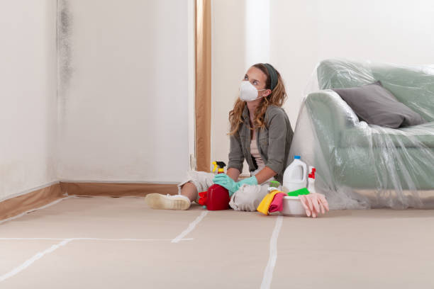 Reliable Mold Remediation contractor in Richardsville, VA by 24 Hour Mold Removal