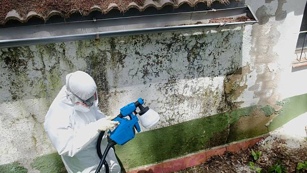 Top rated local Mold Remediation specialists in Richardsville, VA